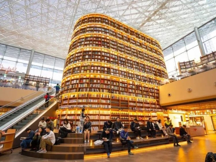 Không gian yên tĩnh đầy lý tưởng để học tập 