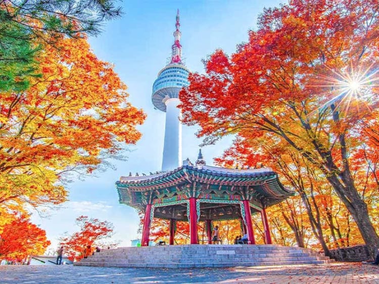 Hàn Quốc mùa thu đầy thơ mộng với khung cảnh thu hút