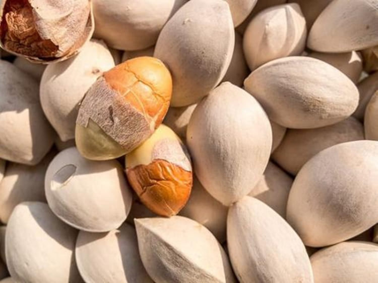 Hạt ngân hạnh với mùi thơm béo ngậy đầy bổ dưỡng