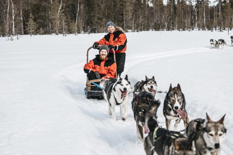 Cùng chú chó Husky cảm nhận sự kì diệu của thiên nhiên mùa đông