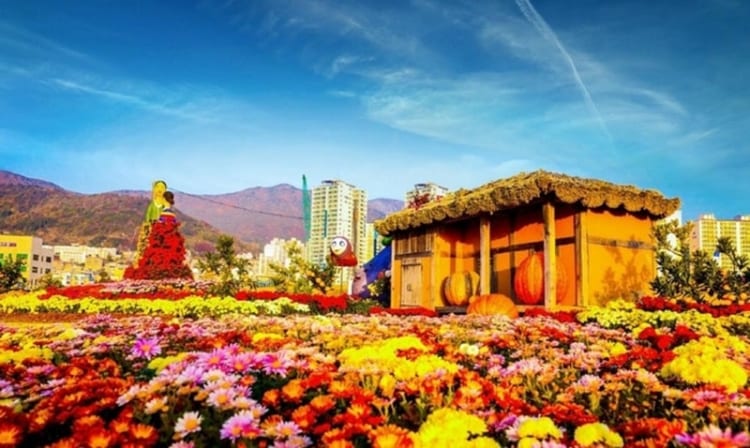 Lễ hội hoa cúc Seosan với nhiều tạo hình nghệ hình đầy rực rỡ 
