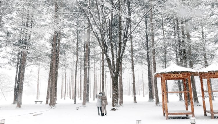 HÀN QUỐC MÙA ĐÔNG 4N4Đ |  SEOUL – NAMI – LOTTE WORLD (2026)