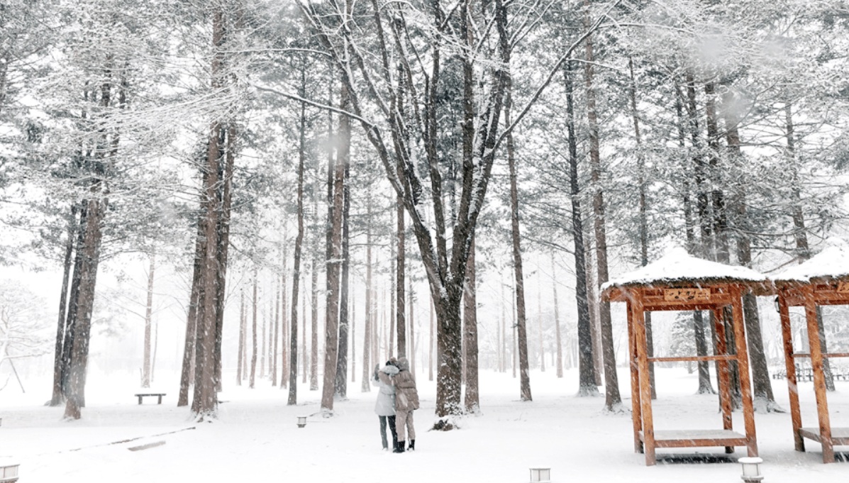 HÀN QUỐC MÙA ĐÔNG 4N4Đ | SEOUL – NAMI – LOTTE WORLD (2026)