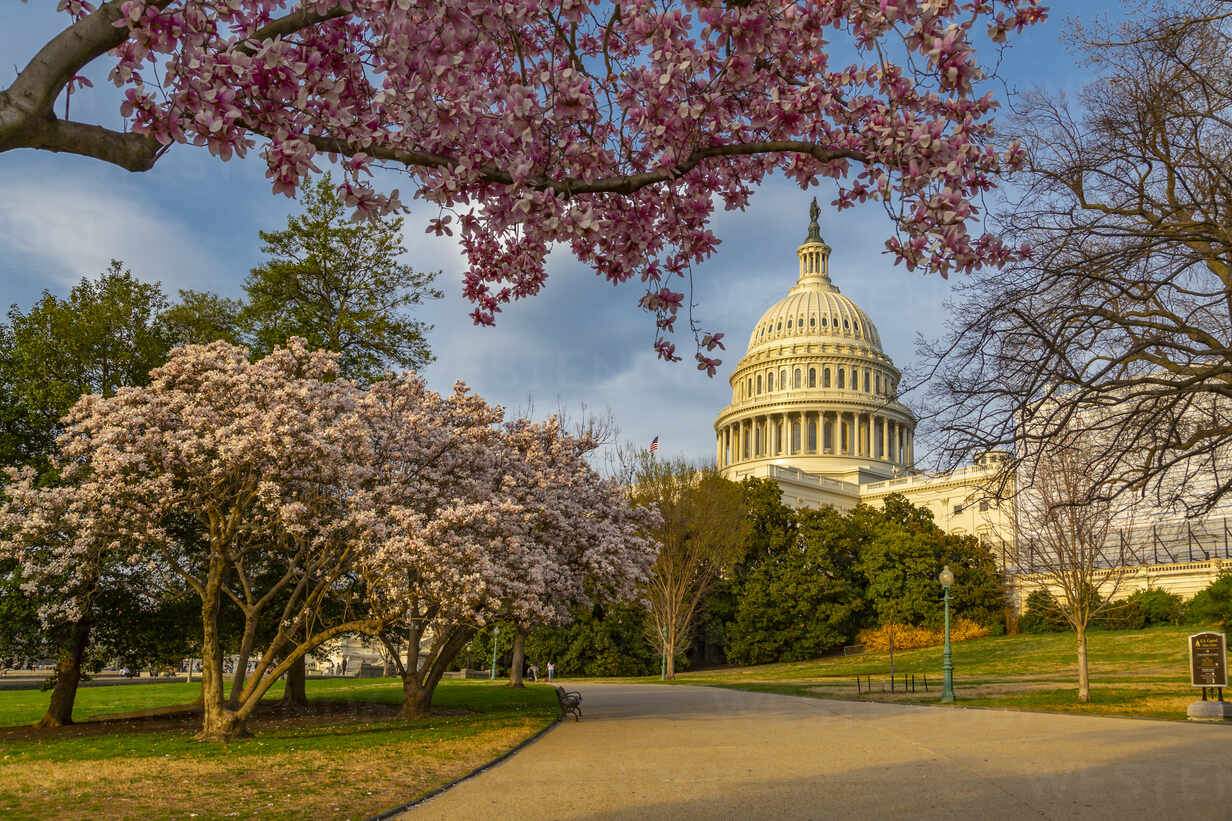 LIÊN TUYẾN ĐÔNG TÂY HOA KỲ 10N9Đ | NEW YORK – PHILADELPHIA – DELAWARE – WASHINGTON DC – LAS VEGAS – RED ROCK CANYON – THỊ TRẤN MA CALICO – SANTA MONICA – LOS ANGELES – SAN DIEGO