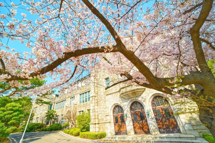 HÀN QUỐC 5N4Đ | HÀ NỘI – SEOUL – SAUNA – NAMI – HÁI DÂU – EVERLAND – CÔNG VIÊN YEOUIDO – HÀ NỘI