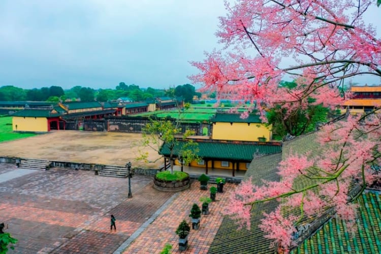 Mùa xuân Huế đầy thi vị và thanh tao chờ du khách ghé thăm