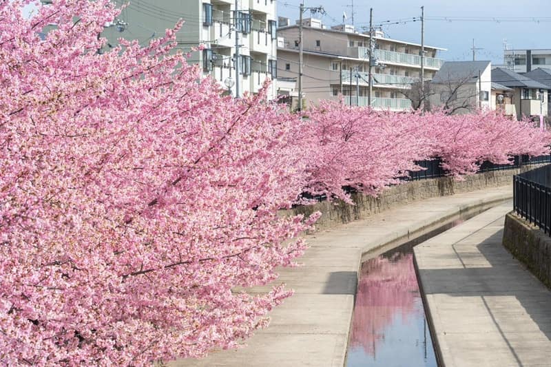 CUNG ĐƯỜNG VÀNG NHẬT BẢN 6N5Đ | KOBE – OSAKA – KYOTO – NAGOYA – PHÚ SĨ – TOKYO (NO SHOPPING)