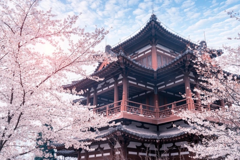 TRUNG QUỐC 6N5Đ | TÂY AN – LẠC DƯƠNG – TRỊNH CHÂU – KHAI PHONG