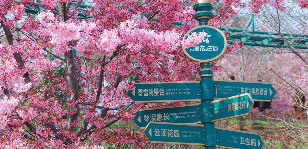 TRUNG QUỐC 6N5Đ | HÀ NỘI – THÀNH ĐÔ – CÔNG VIÊN MANHUA – CỬU TRẠI CÂU – LẠC SƠN ĐẠI PHẬT