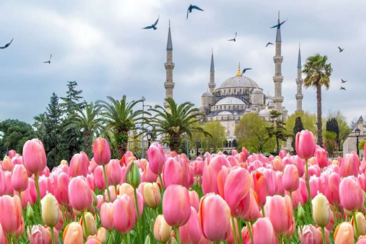 THỔ NHĨ KỲ 8N7Đ | ISTANBUL – BURSA – KUSADASI – PAMUKKALE – CAPPADOCIA