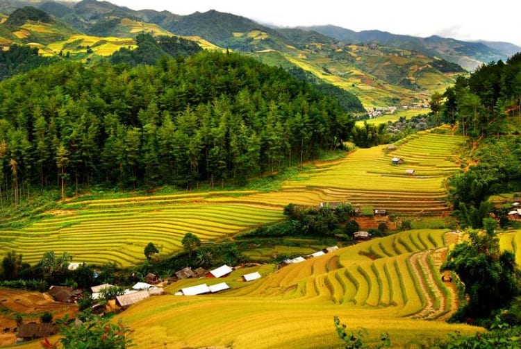 KHÁM PHÁ TÂY BẮC 4N3Đ | MỘC CHÂU – MAI CHÂU – HÒA BÌNH