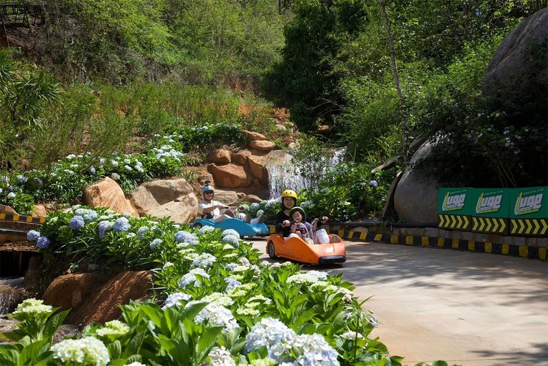 cao nguyên hoa khoe sắc rực rỡ mùa du lịch đà lạt 30/4