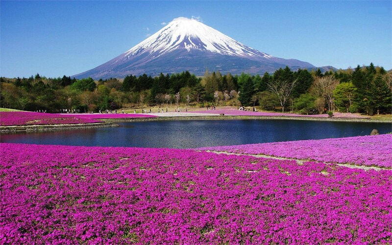 NHẬT BẢN 6N5Đ | KOBE – OSAKA – KYOTO – NAGOYA – PHÚ SĨ – TOKYO (NO SHOPPING)