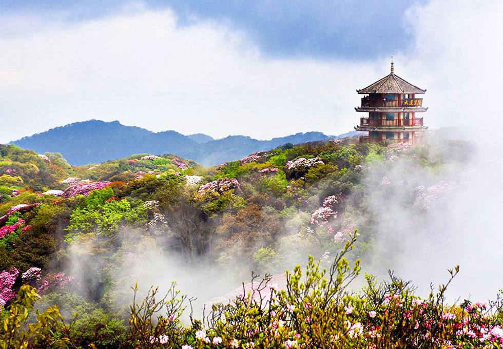 TRUNG QUỐC 6N5Đ | TRÙNG KHÁNH – VŨ LONG – THIÊN SINH TAM KIỀU – TIÊN NỮ SƠN