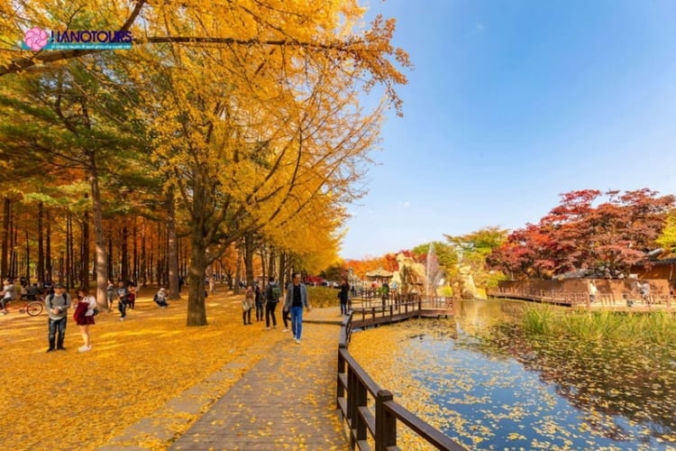 THU VÀNG HÀN QUỐC 6N5Đ | HÀ NỘI – BUSAN – GYEONGJU – SEOUL