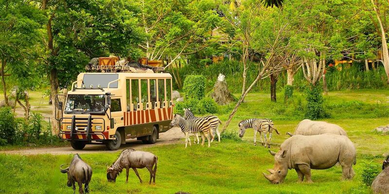 Vinpearl Safari là điểm du lịch Phú Quốc dành cho người yêu động vật