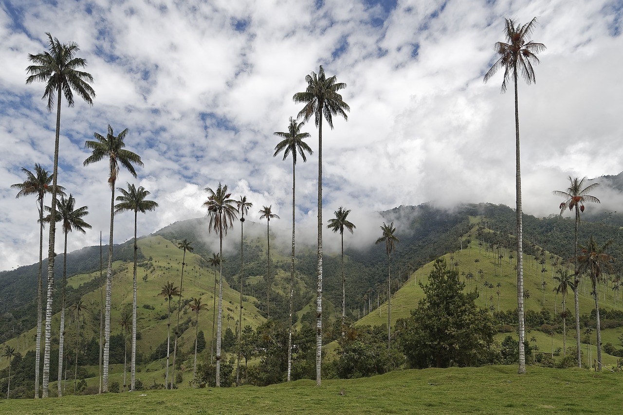 KHÁM PHÁ VÙNG ĐẤT NAM MỸ HUYỀN BÍ 23N23Đ | PERU – BOLIVIA – CHILE