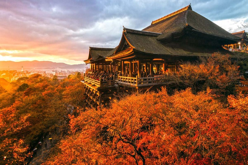 cố đô kyoto nhật bản mùa lá đỏ cực đẹp cố đô kyoto nhật bản mùa lá đỏ cực đẹp