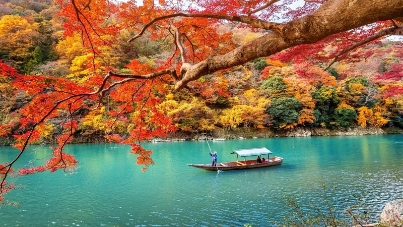 dạo thuyền trên sông khi nhật bản mùa lá đỏ dạo thuyền trên sông khi nhật bản mùa lá đỏ