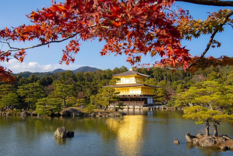 đền kinkakuji nhật bản mùa lá đỏ tuyệt đẹp đền kinkakuji nhật bản mùa lá đỏ tuyệt đẹp