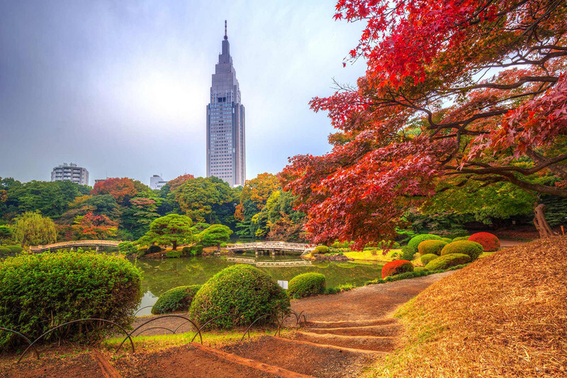 mùa lá đỏ nhật bản tại thủ đô tokyo mùa lá đỏ nhật bản tại thủ đô tokyo