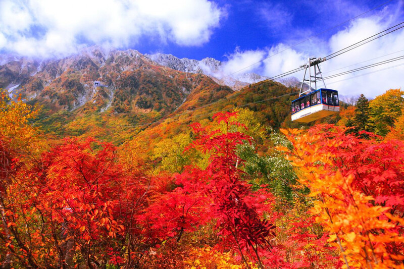 vùng hokkaido nhật bản mùa lá đỏ vùng hokkaido nhật bản mùa lá đỏ