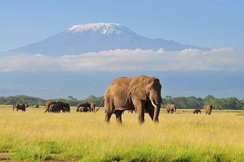 KHÁM PHÁ CHÂU PHI HOANG DÃ 14N13Đ | TANZANIA – KENYA – ZAMBIA – ZIMBABWE – BOTSWANA
