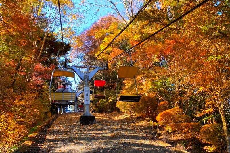 lá phong núi takao chuyển màu đỏ cam vào tokyo mùa thu lá phong núi takao chuyển màu đỏ cam vào tokyo mùa thu