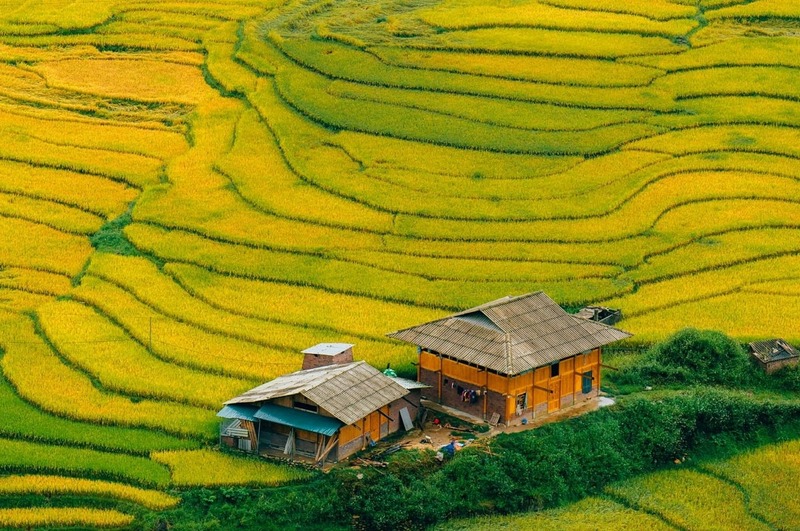 ruộng bậc thang sapa tuyệt đẹp vào dịp tết 2027 ruộng bậc thang sapa tuyệt đẹp vào dịp tết 2027