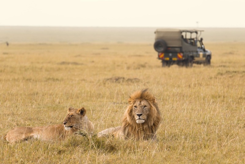 KHÁM PHÁ CHÂU PHI HOANG DÃ 14N13Đ | TANZANIA – KENYA – ZAMBIA – ZIMBABWE – BOTSWANA