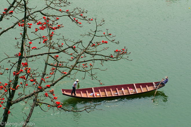Chùa Hương mùa hoa gạo