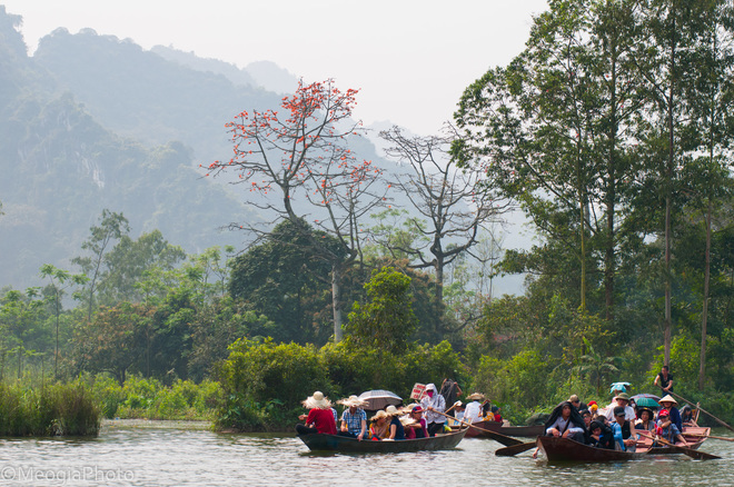Chùa Hương mùa hoa gạo