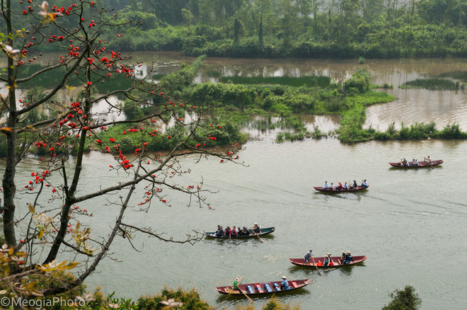 Chùa Hương mùa hoa gạo