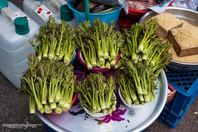 am_thuc_kim_chi_01