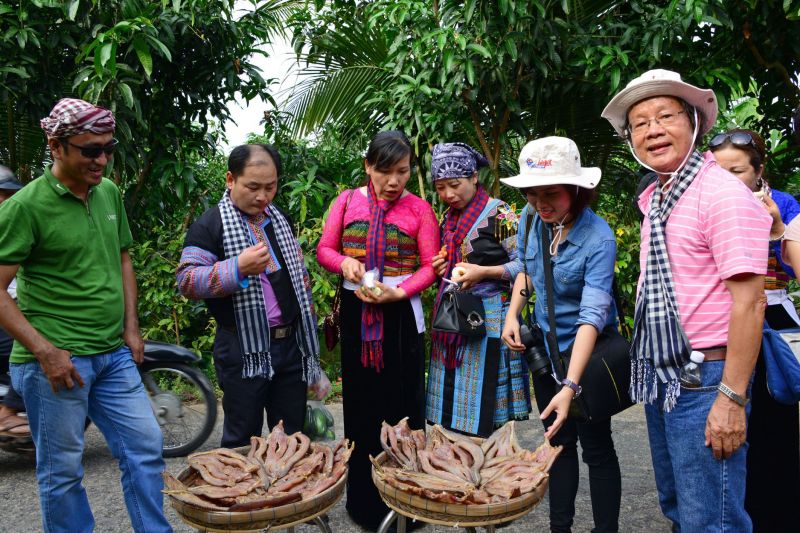 famtrip cồn phú mỹ