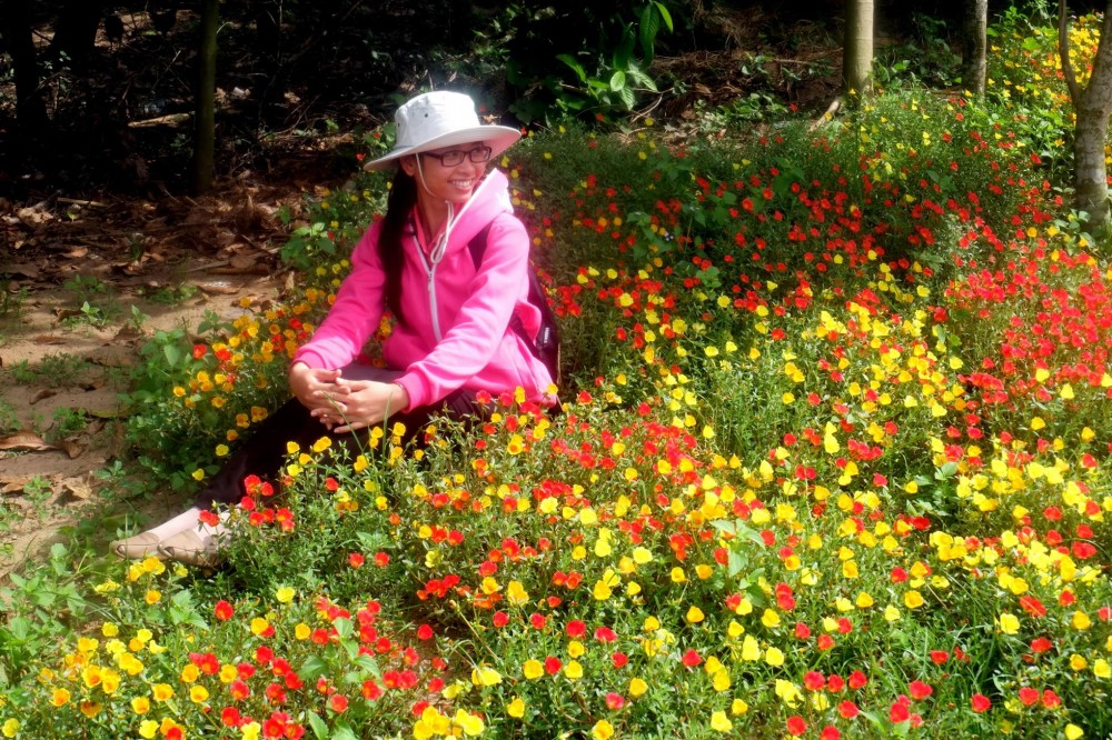 vườn hoa - cồn phú mỹ