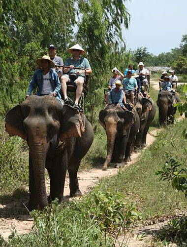 Du khách thích thú đi dạo trên lưng voi