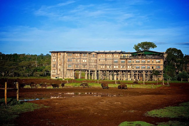 Khách sạn sang trọng thế giới - Treetops Lodge