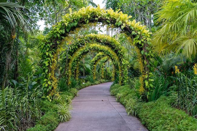 Không gian xanh Vườn bách thảo Singapore 