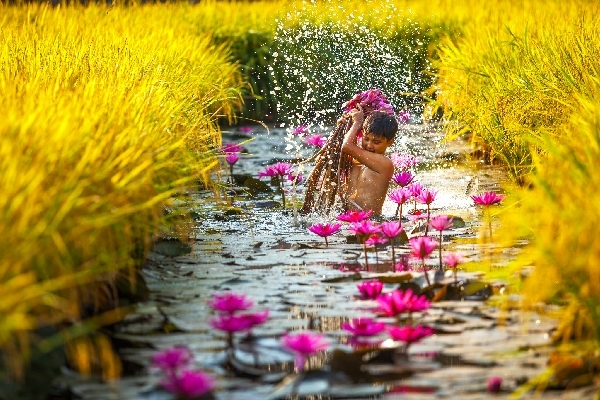 sen, súng