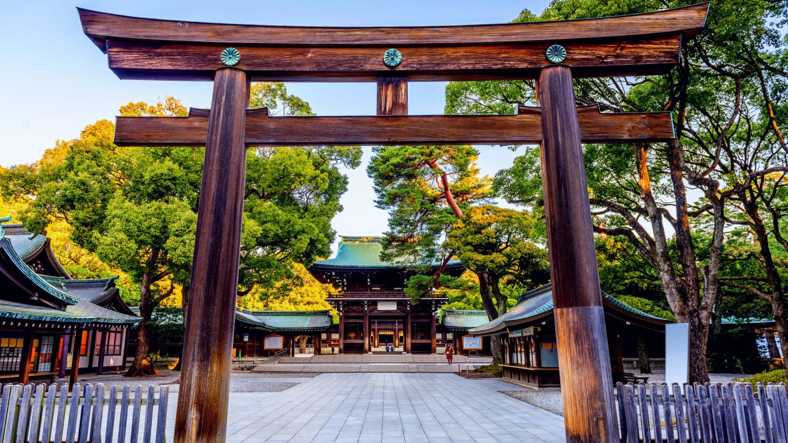 Du hành đến những khu rừng tại Tokyo - đền thờ Meiji-Jingu